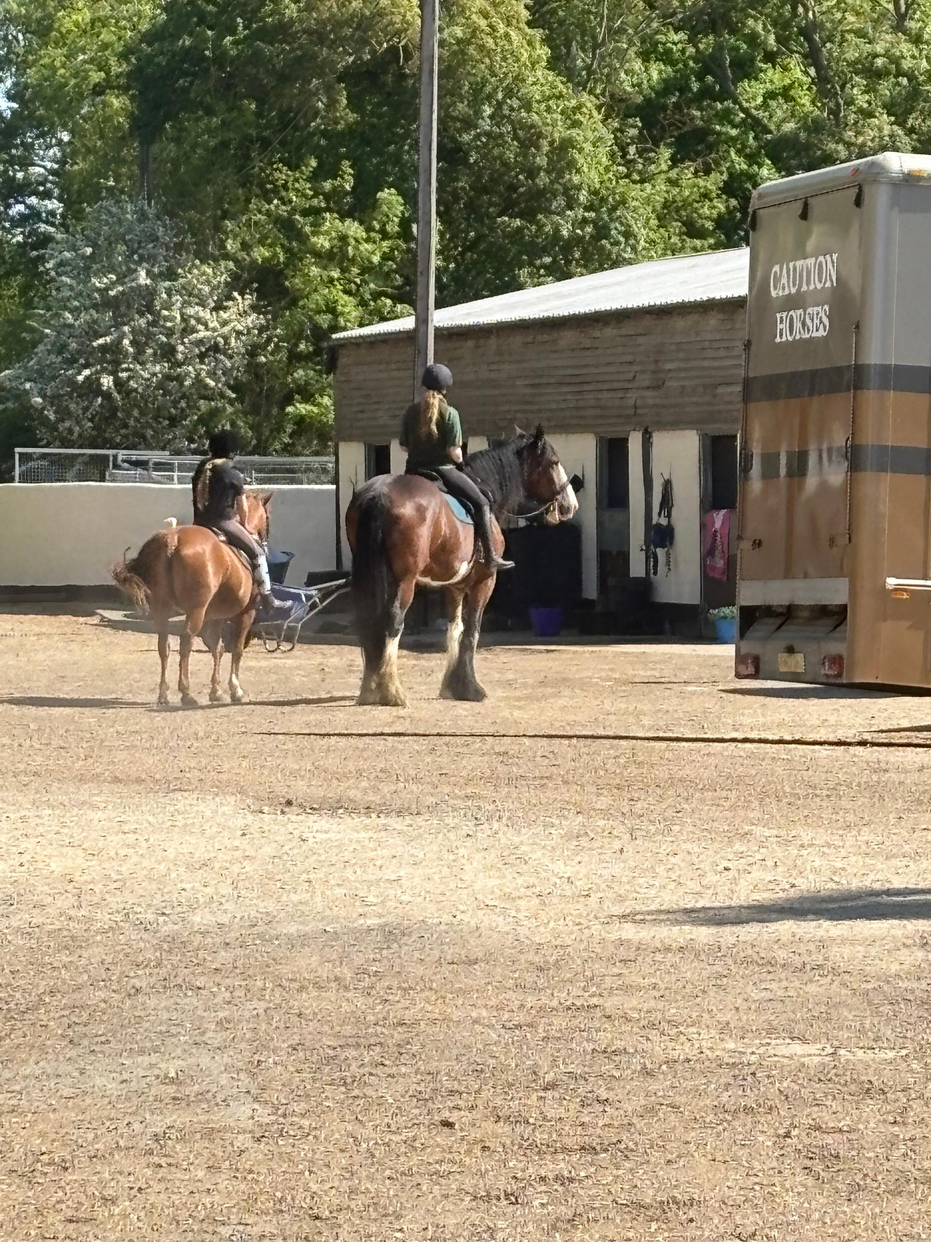 Barnwell Wold Livery Yard photo 4