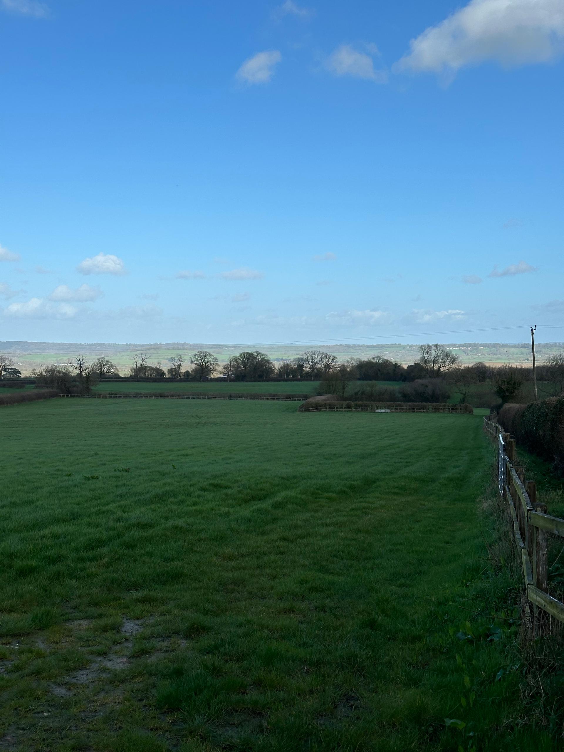Wilkins Farm