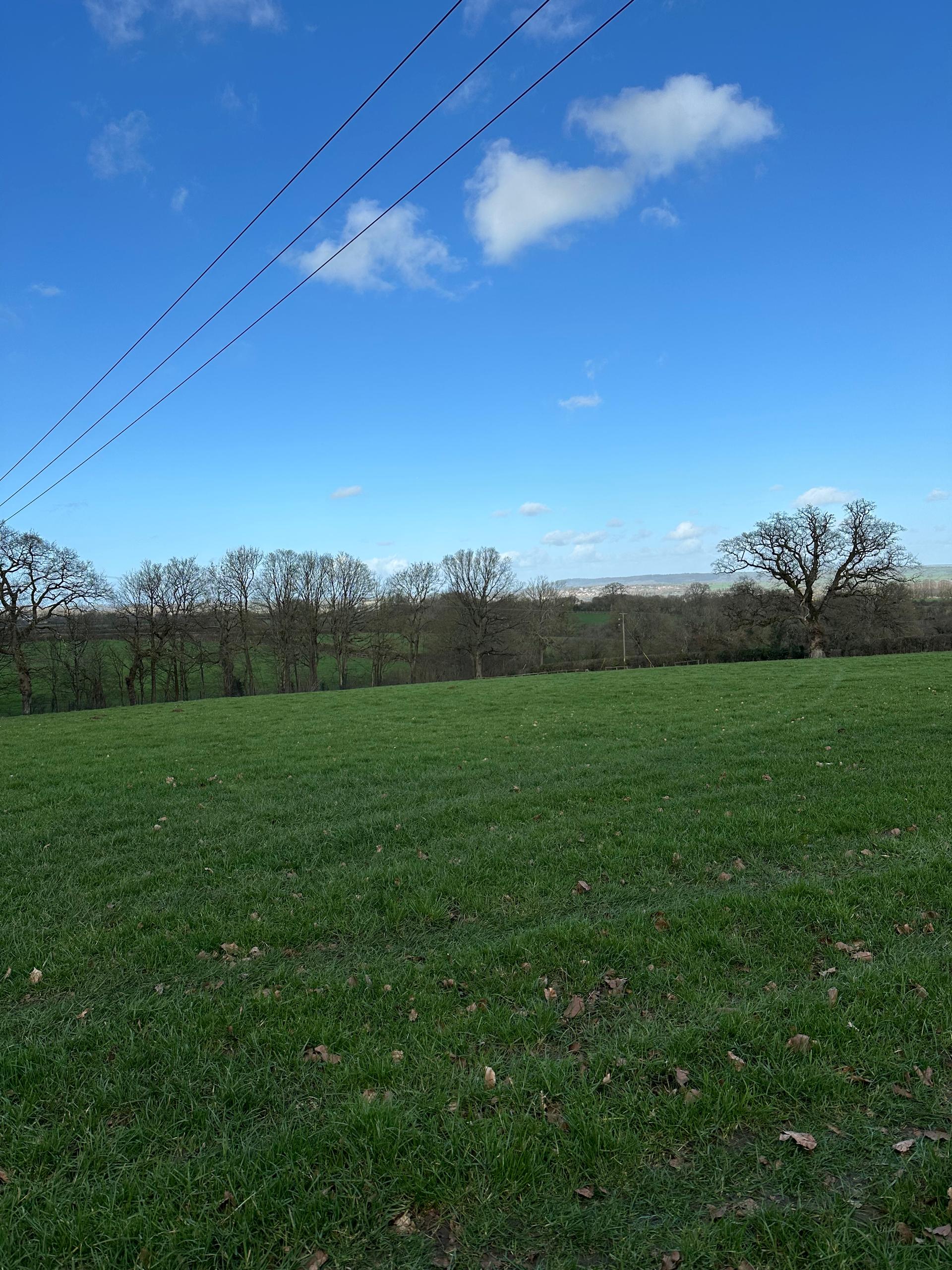 Wilkins Farm photo 2