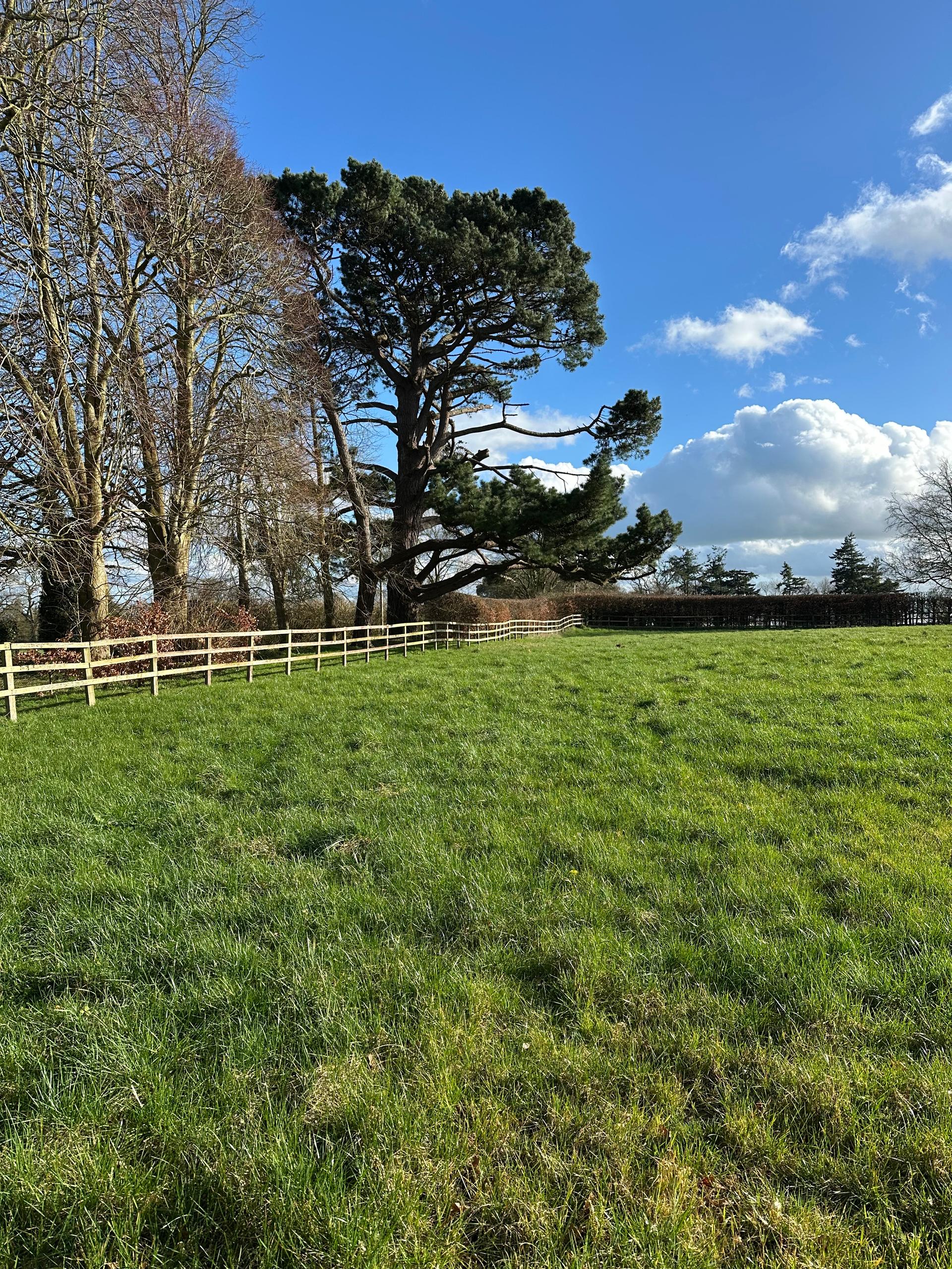 Wilkins Farm photo 3