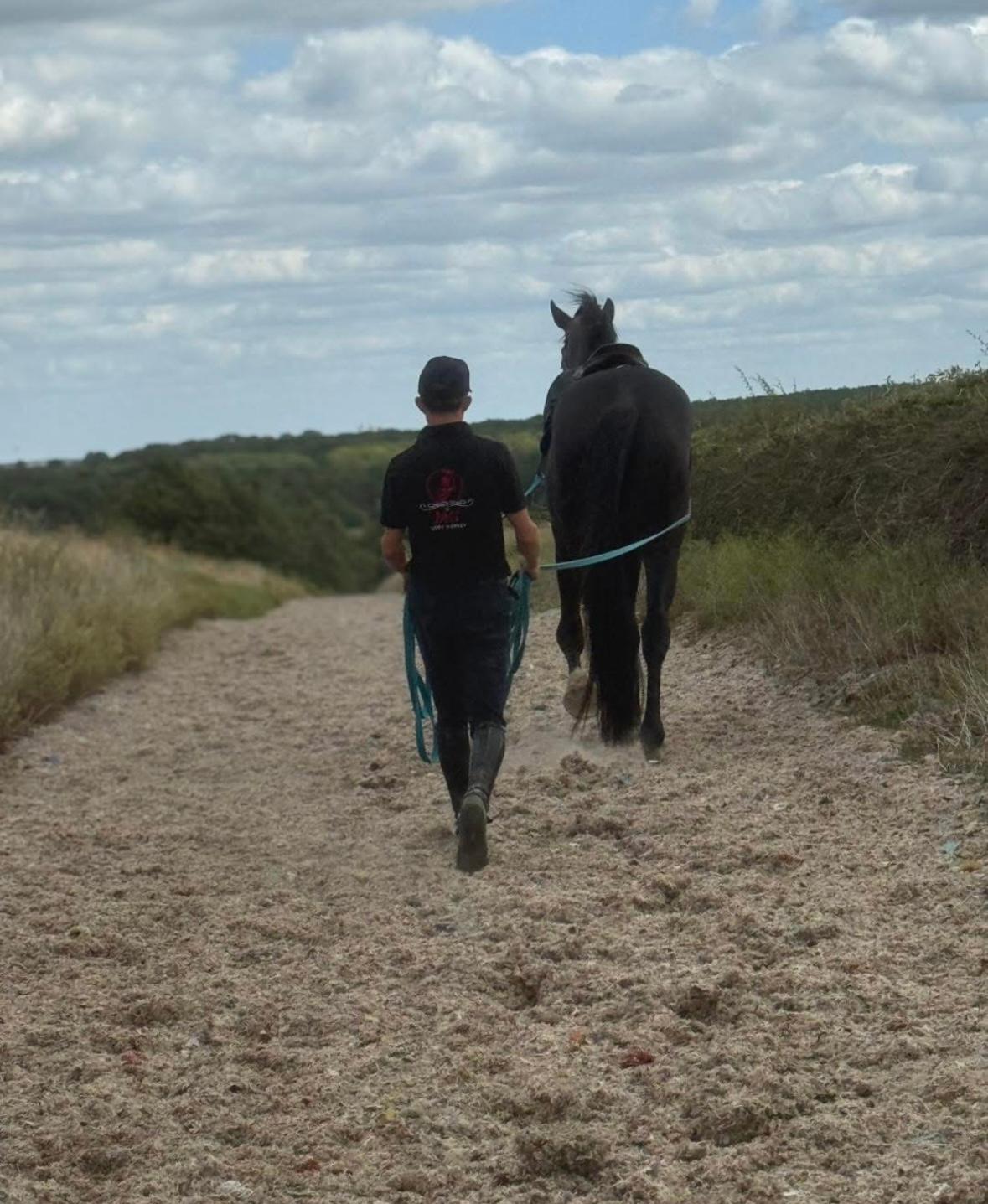 JAG SPORTHORSES