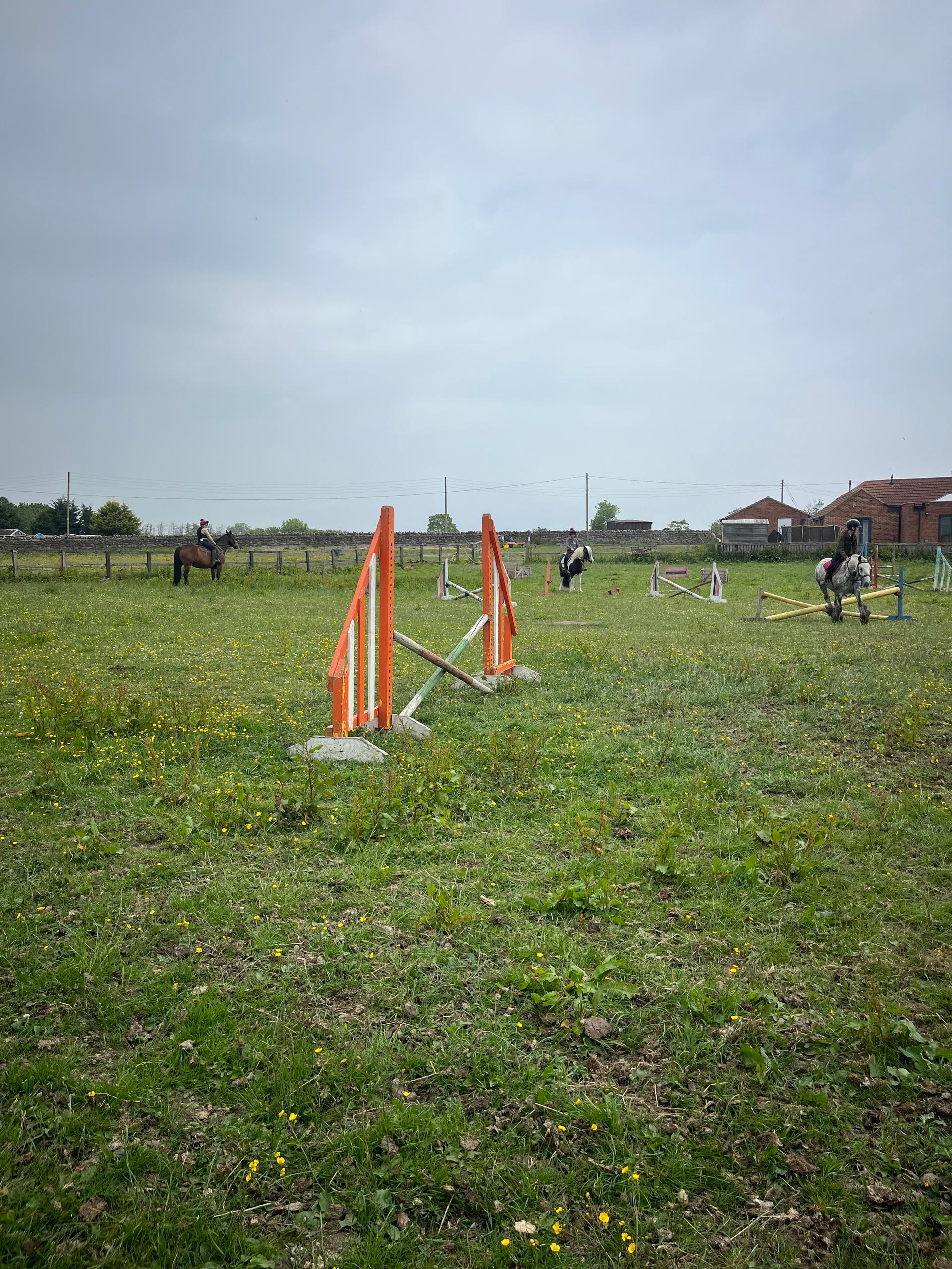 Standalone equestrian photo 3