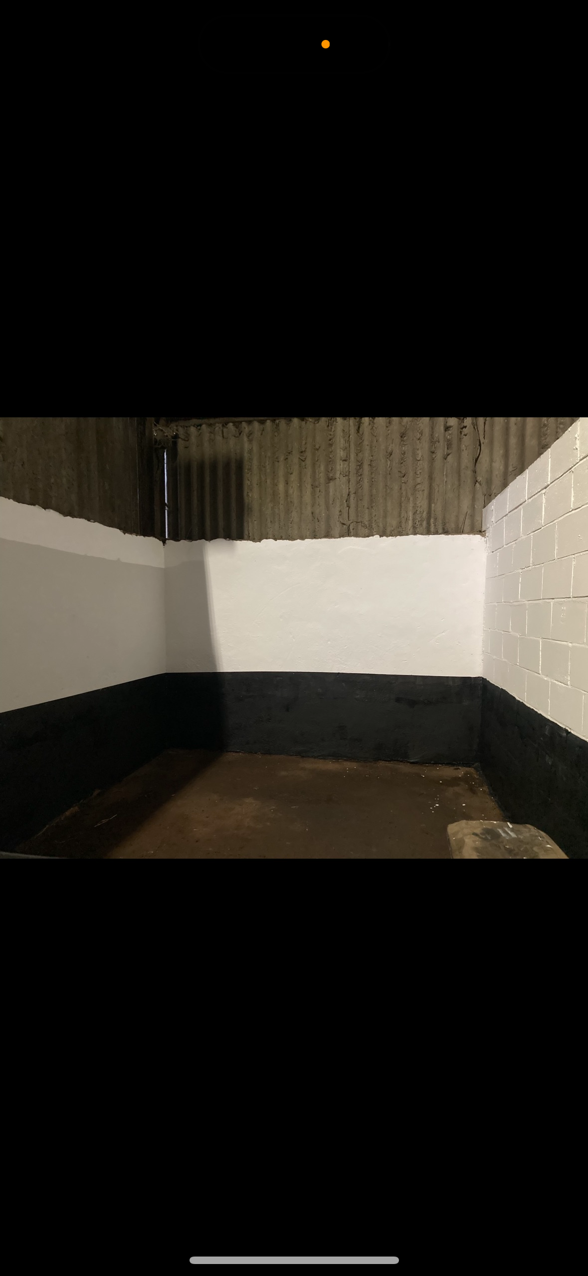 Standalone equestrian photo 4