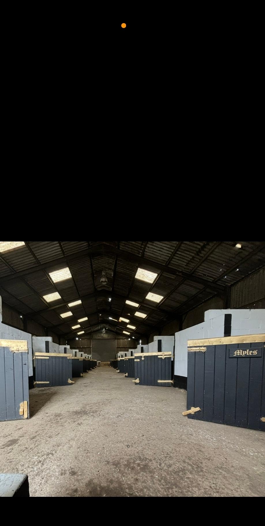 Standalone equestrian photo 5