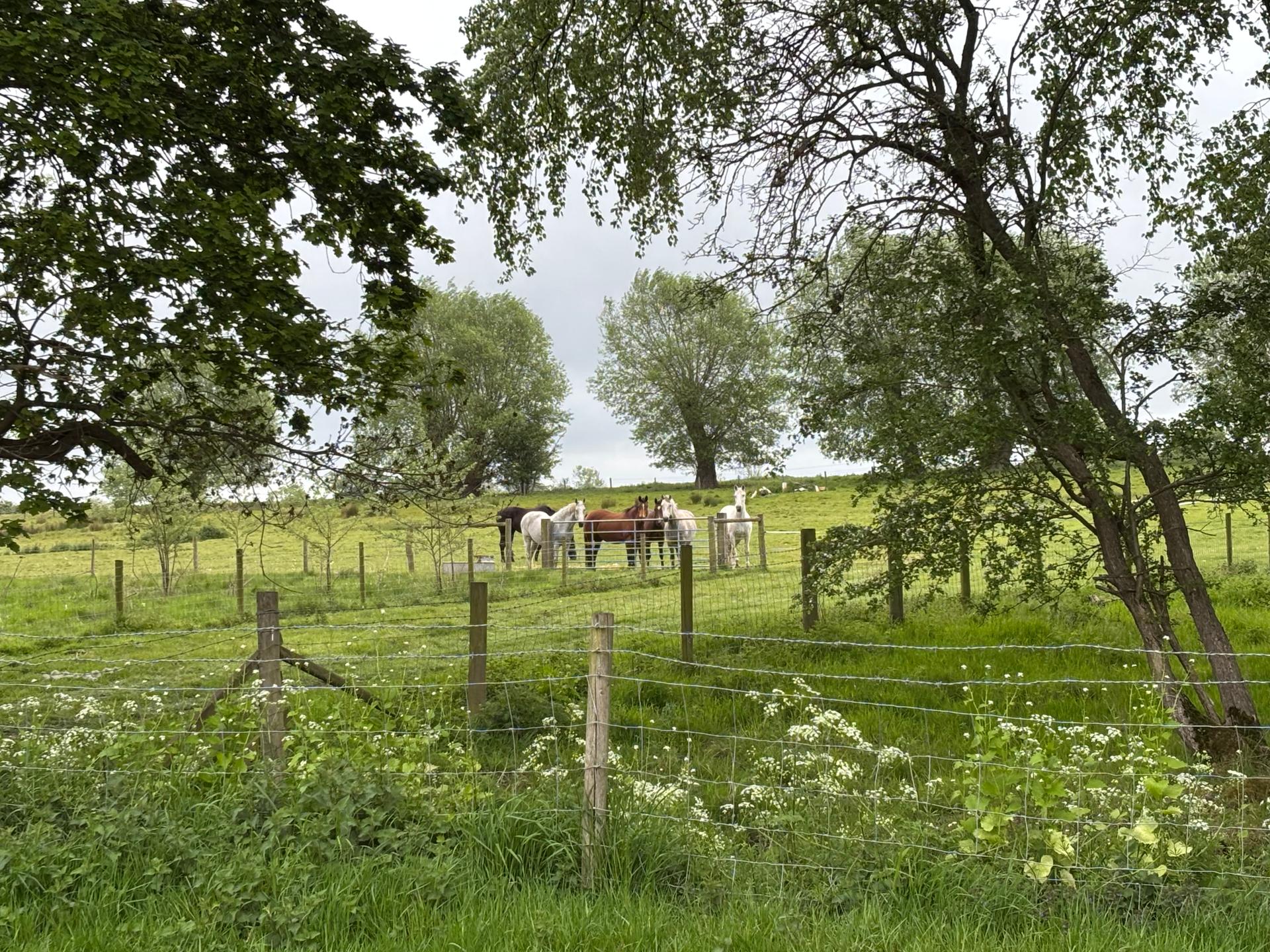 Field Folk Ltd photo 2