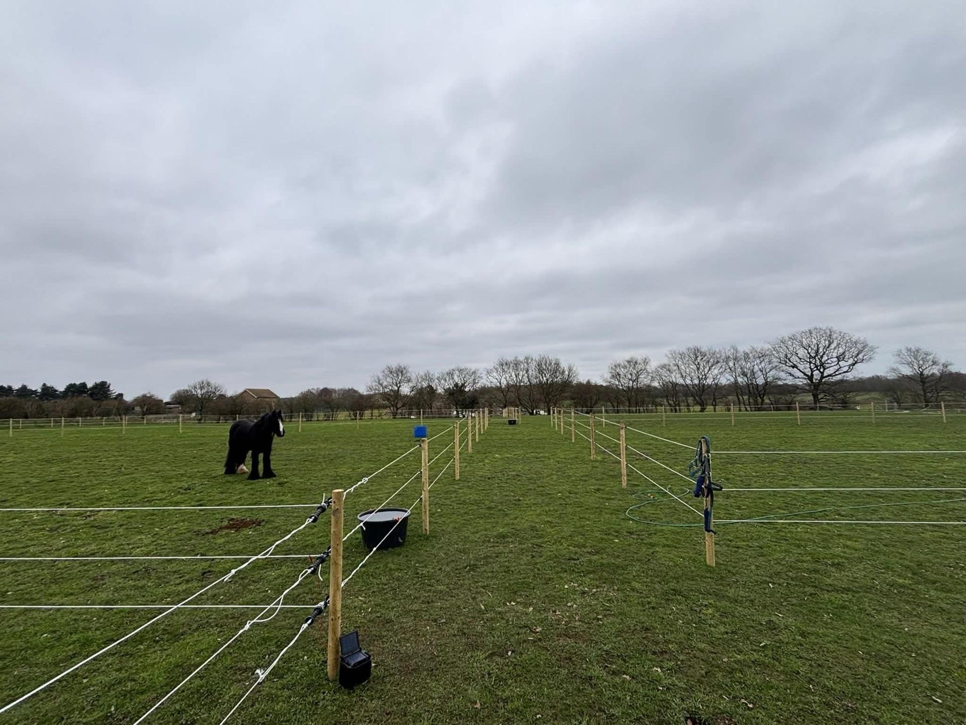 Finningley Farm Stables photo 5