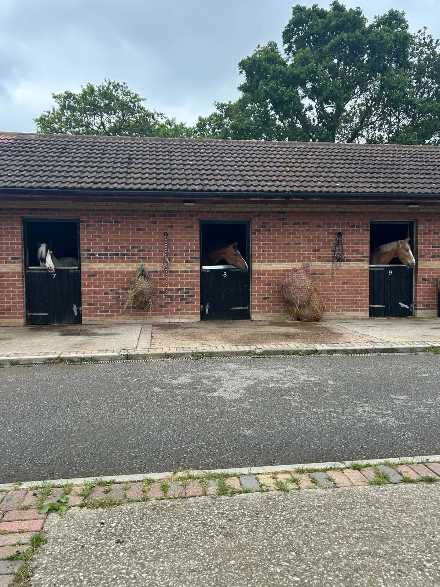 Finningley Farm Stables photo 2