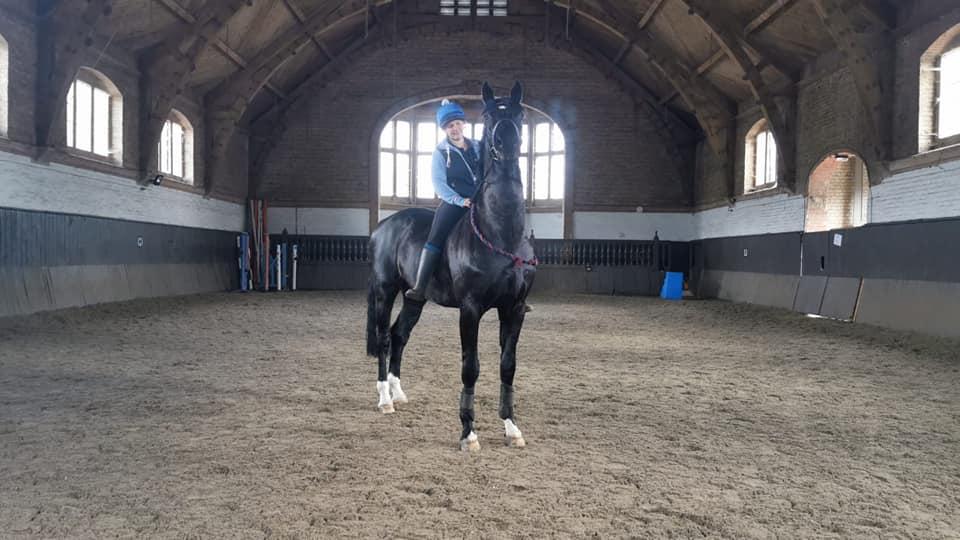 The durdans Stables photo 2