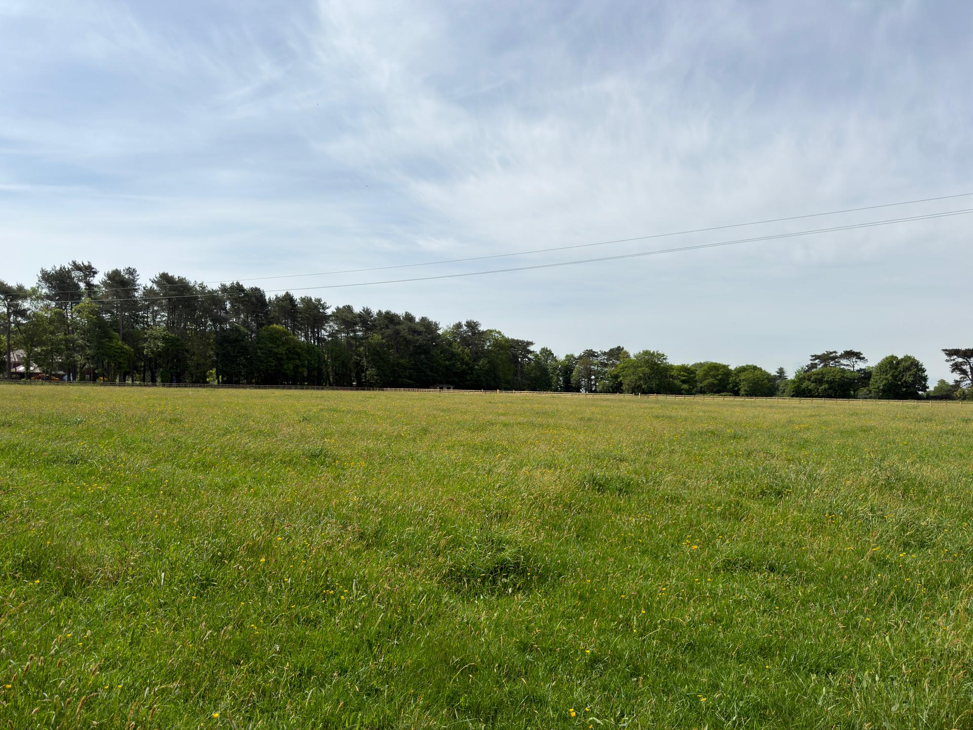 Fieldhead Equestrian photo 1