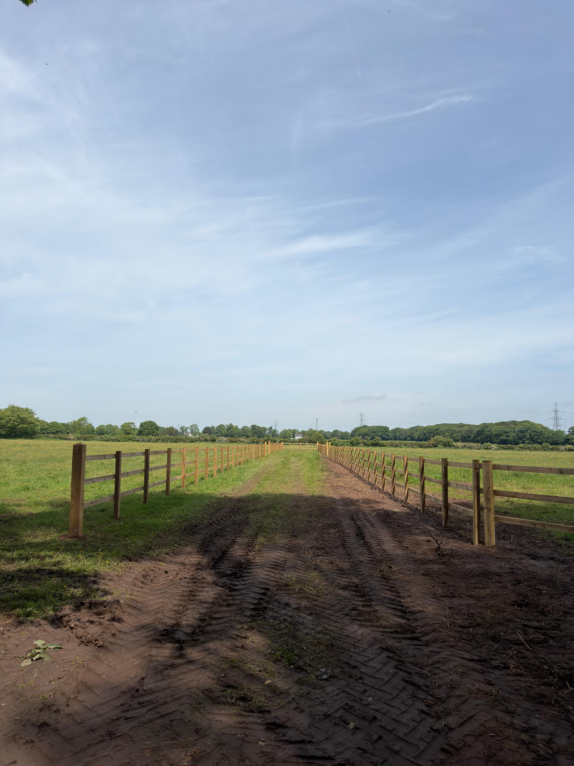 Fieldhead Equestrian photo 2
