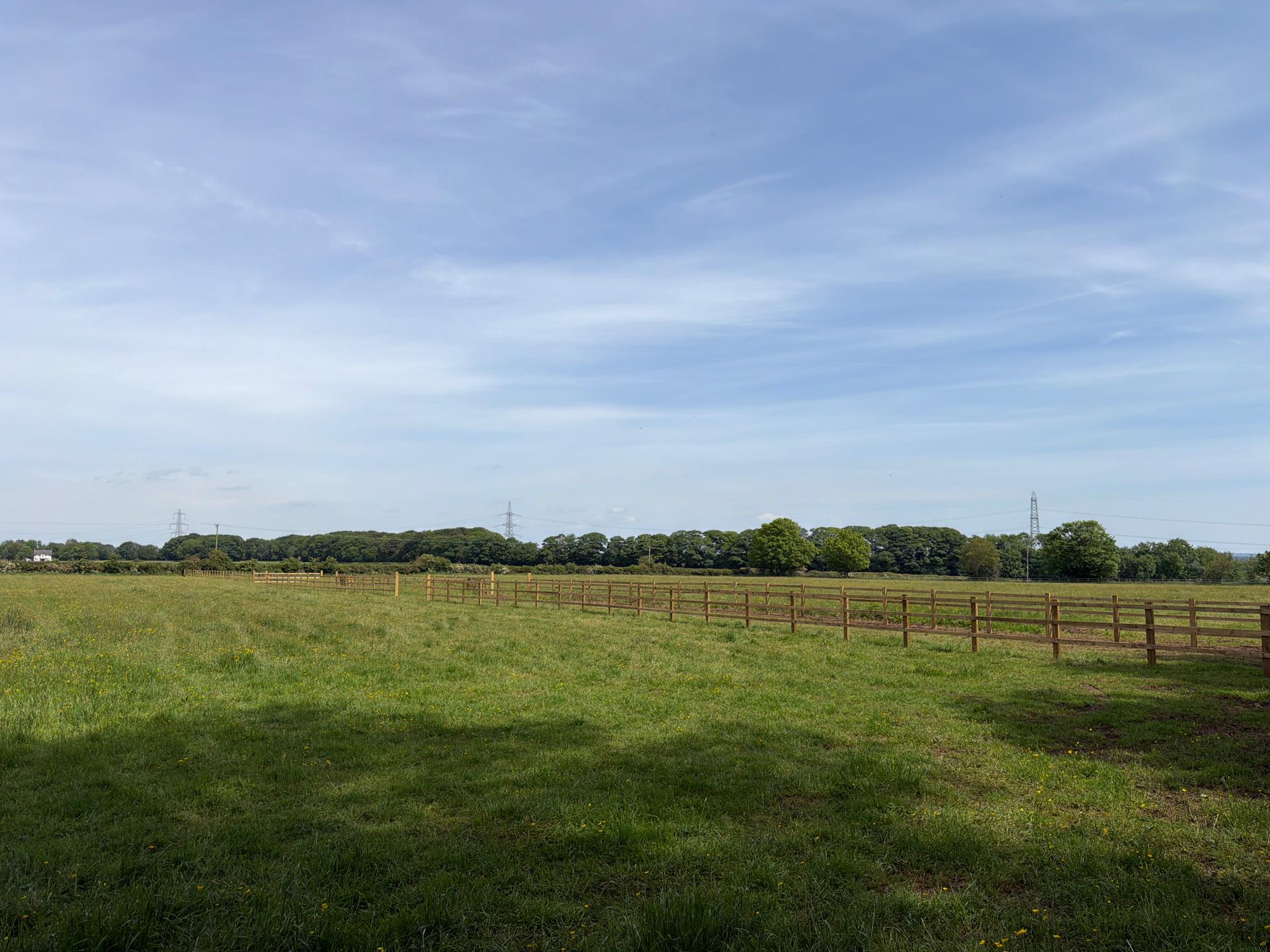 Fieldhead Equestrian photo 3