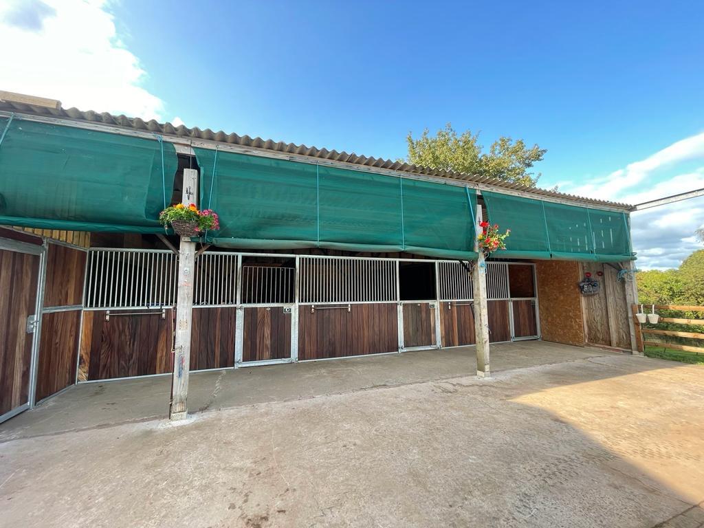 Gemini Stables photo 1