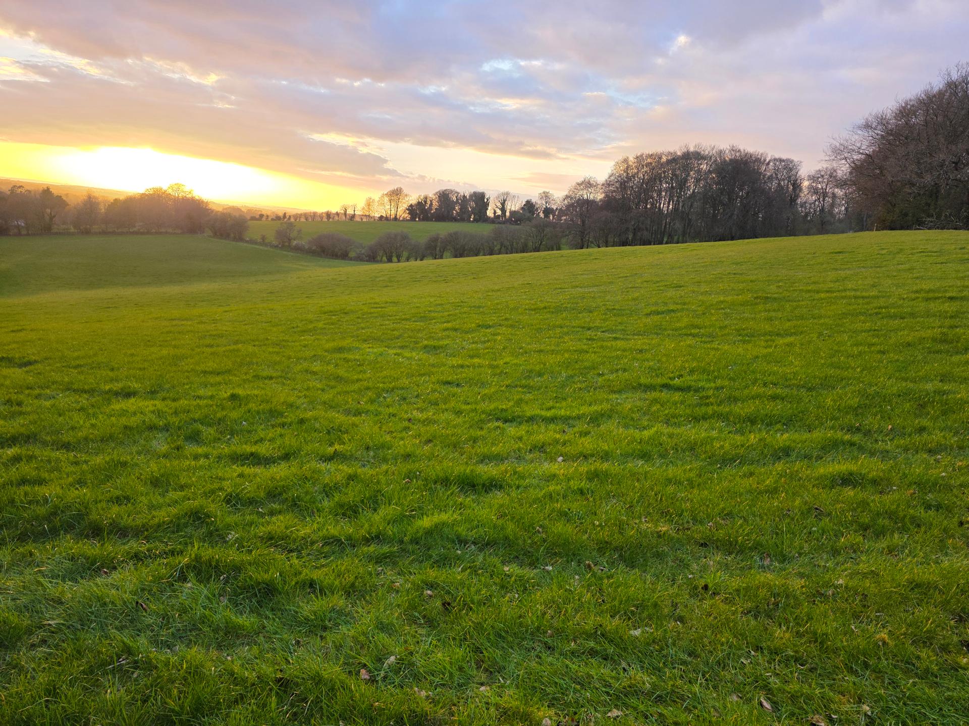 Peaceful Pastures Grazing
