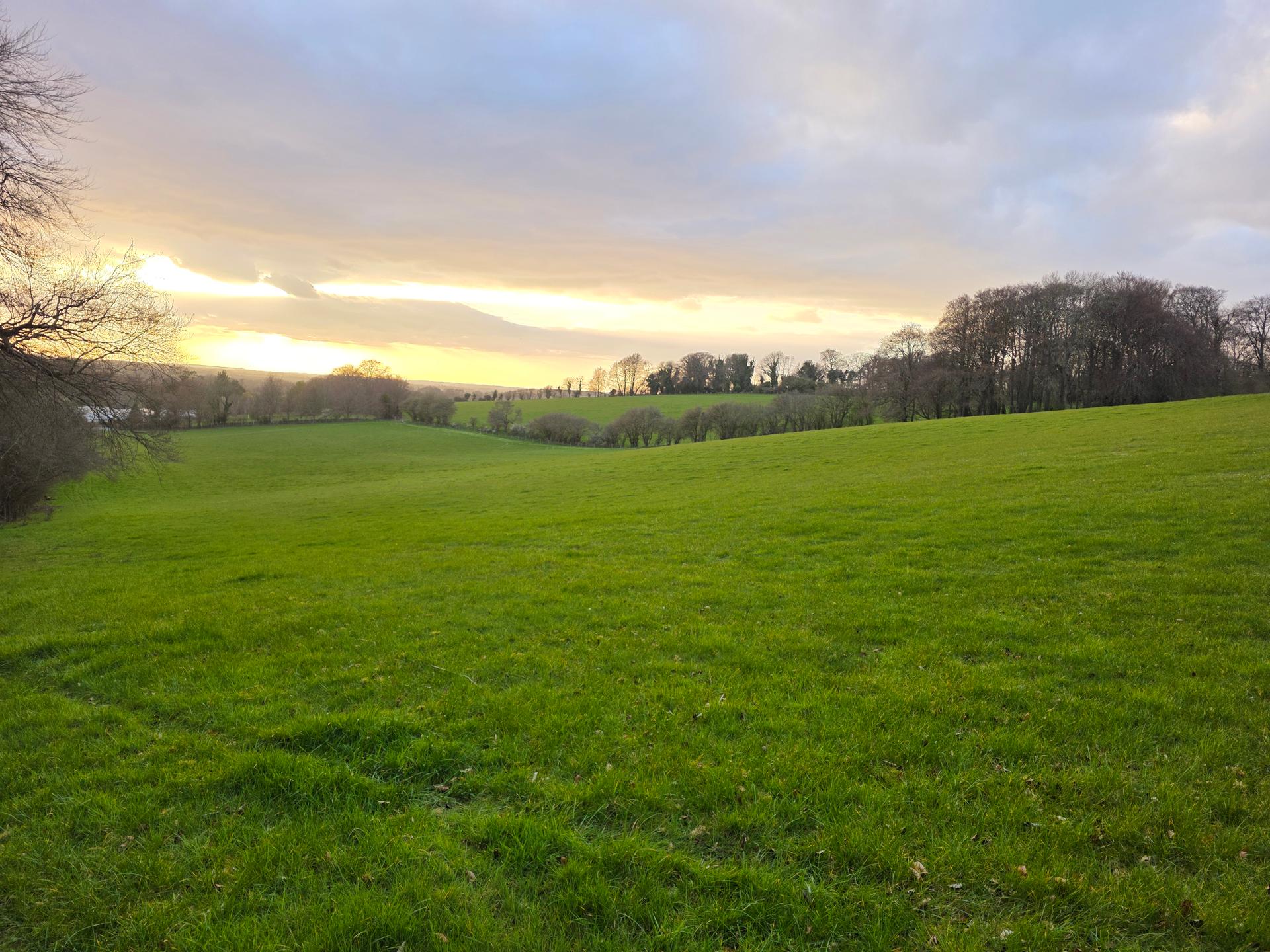 Peaceful Pastures Grazing photo 2