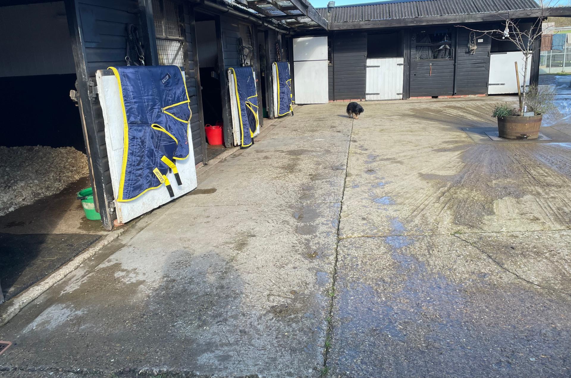 Kennel Hill Livery photo 3