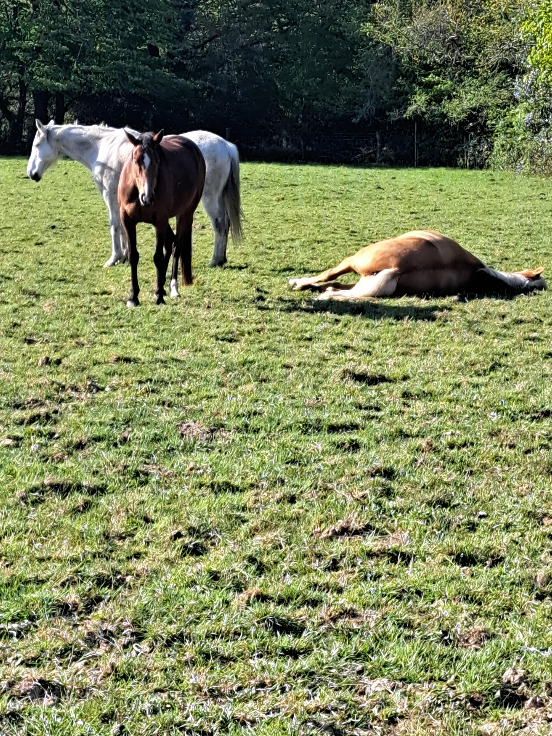 Prestwood Farm photo 1