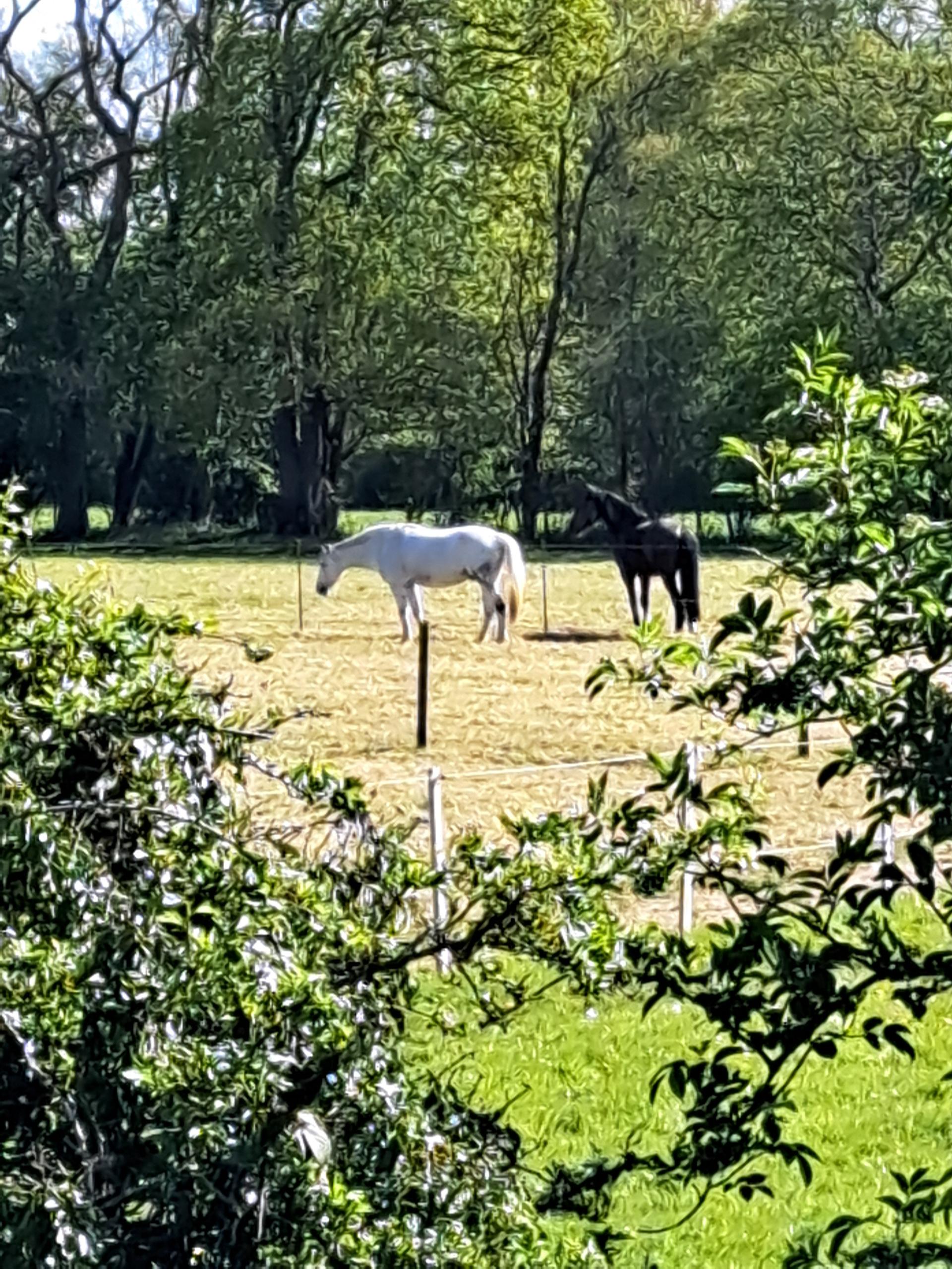 Prestwood Farm photo 2