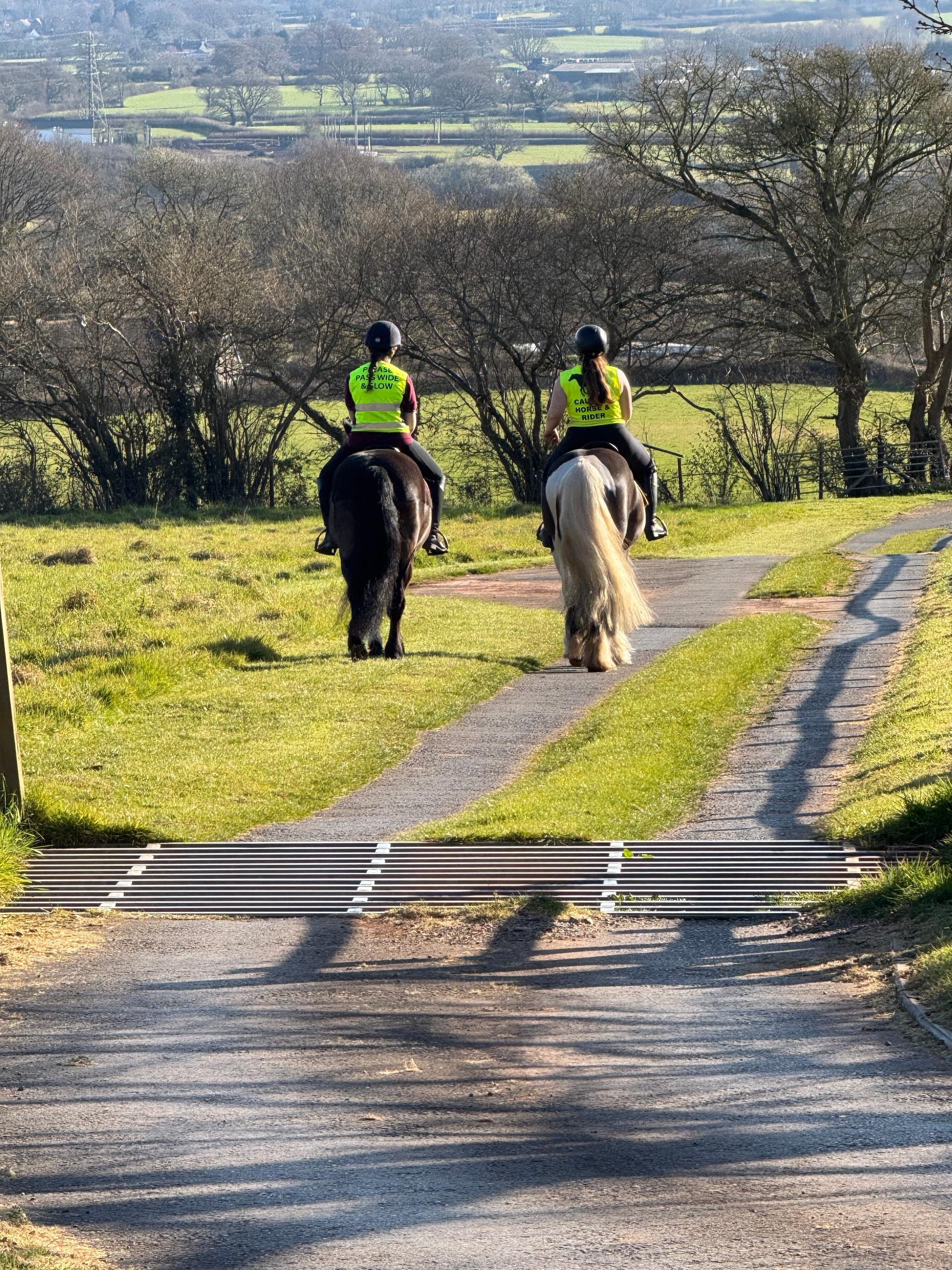 Montreux Farm Livery Stables photo 5