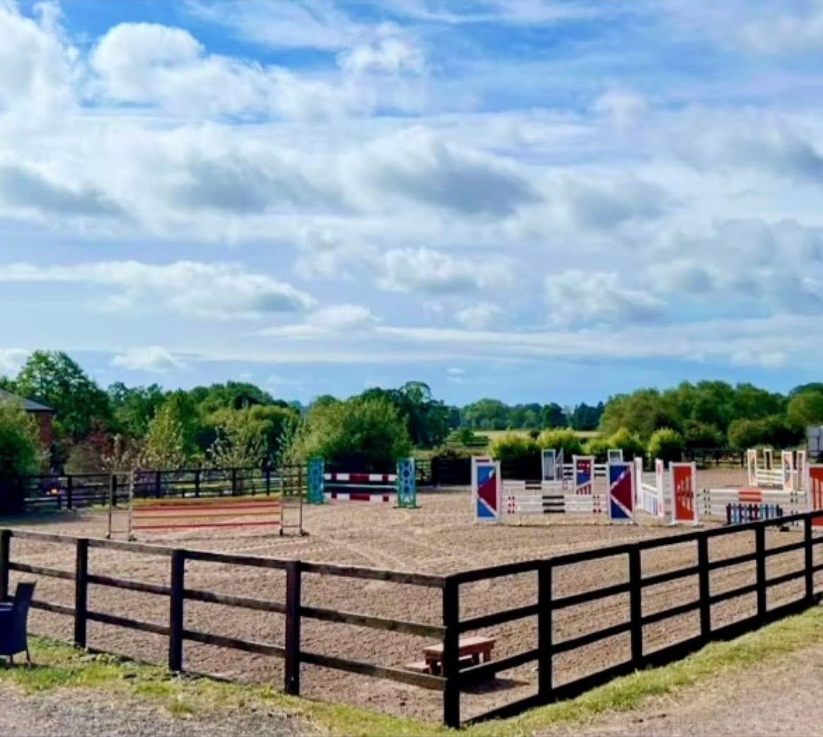 JD Horse Sales & Training photo 2