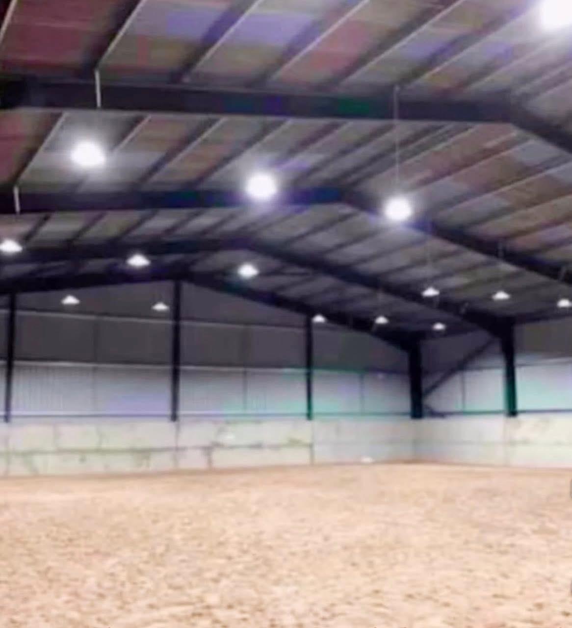 JD Horse Sales & Training photo 3