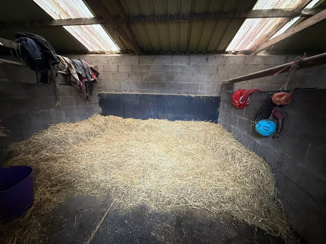 Penygroes Equestrian photo 3