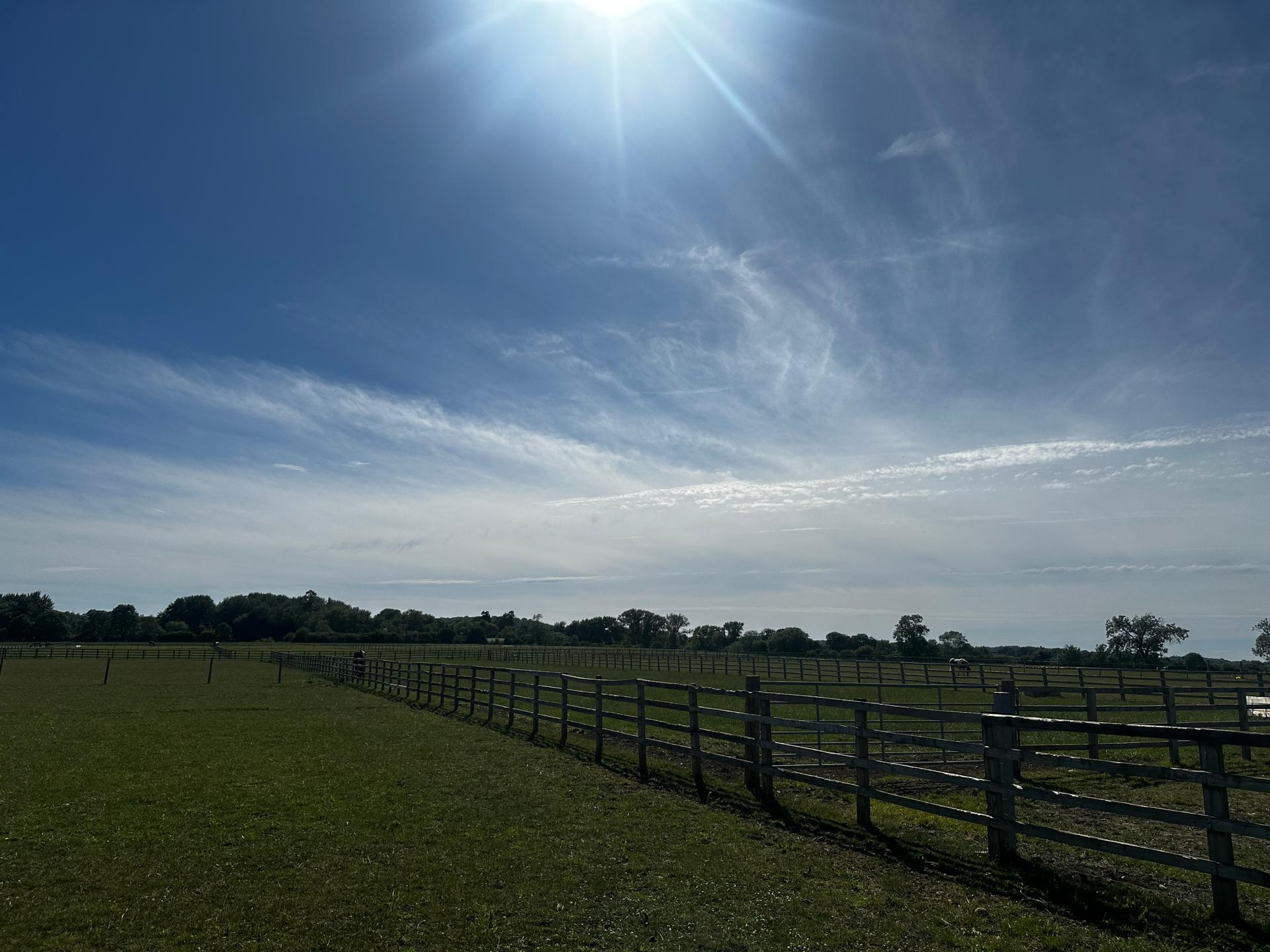 Hersey Park Stables photo 1