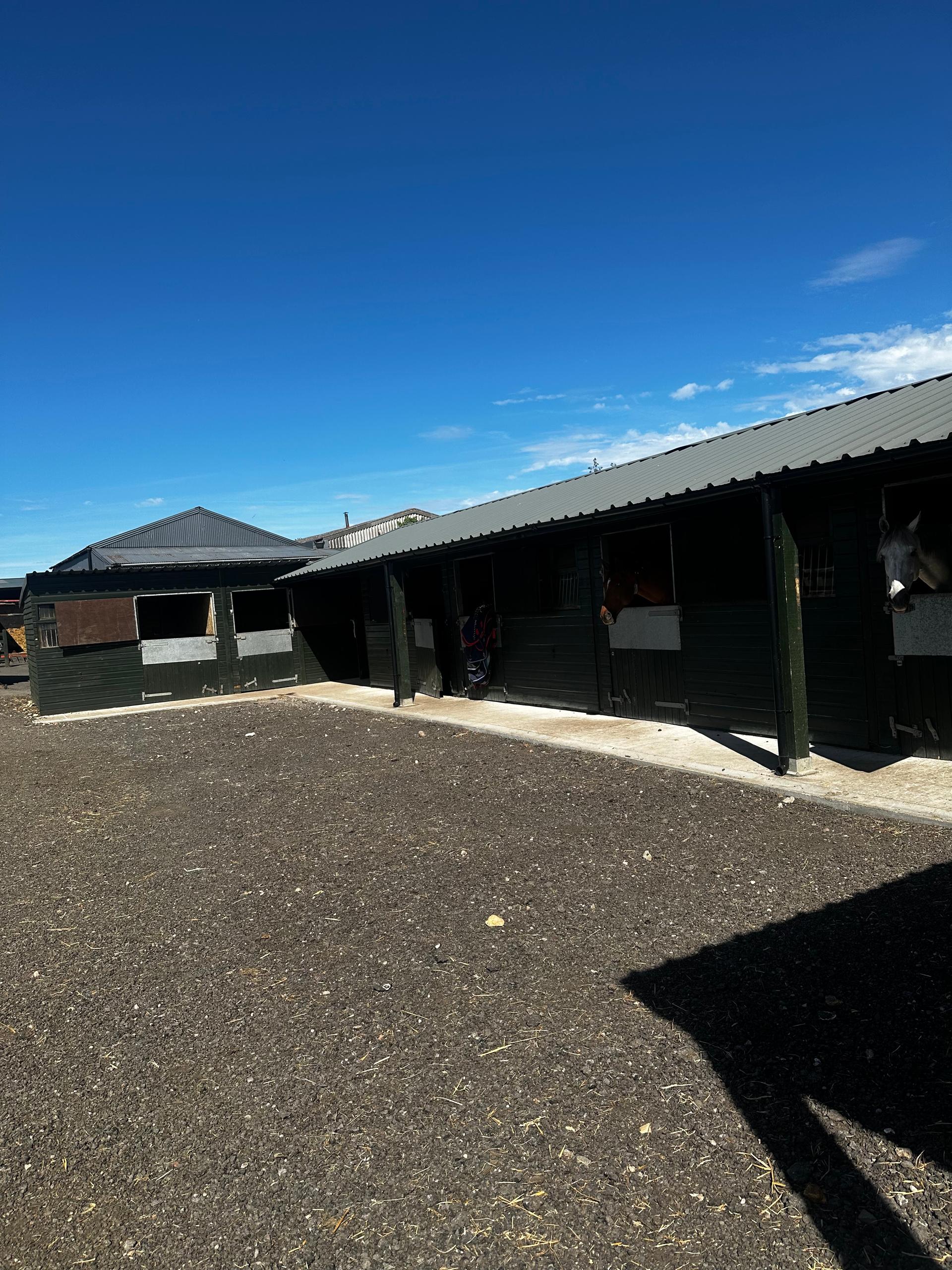 Hersey Park Stables photo 3