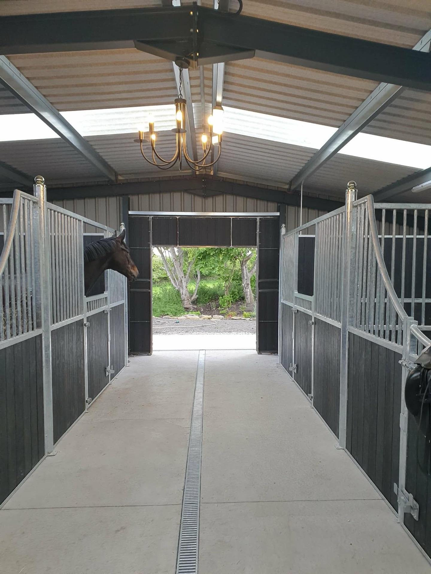 Beyond The Bridle photo 2