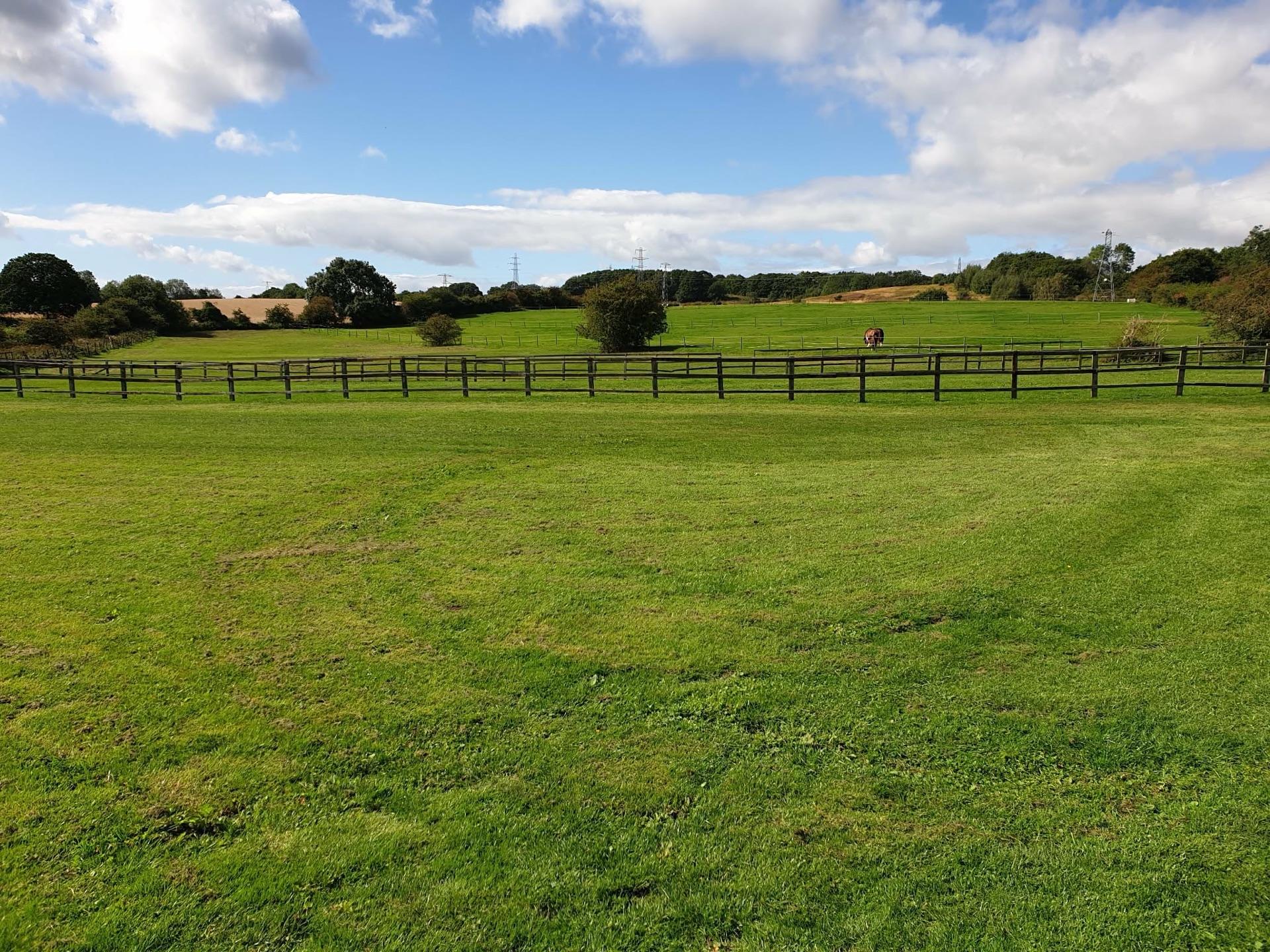 Beyond The Bridle photo 3