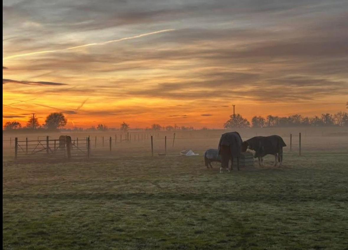 RT Equestrian (Upper Hill Stables) photo 4