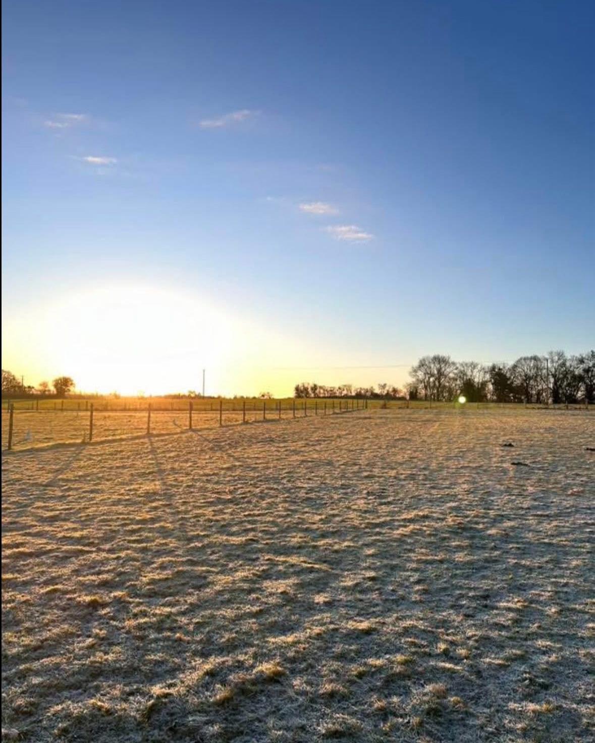 RT Equestrian (Upper Hill Stables) photo 5