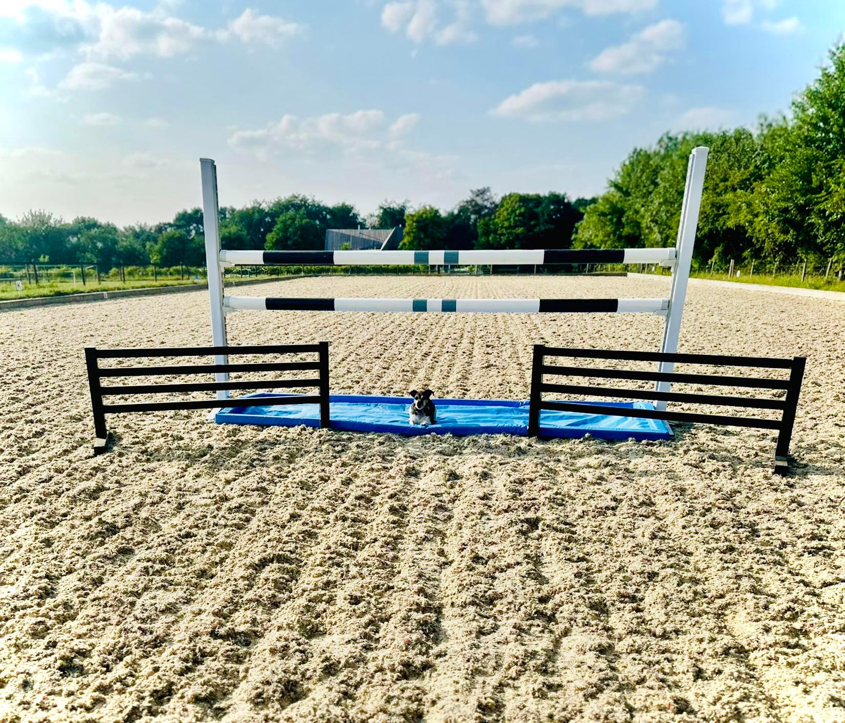 WATER FARM EQUESTRIAN photo 2