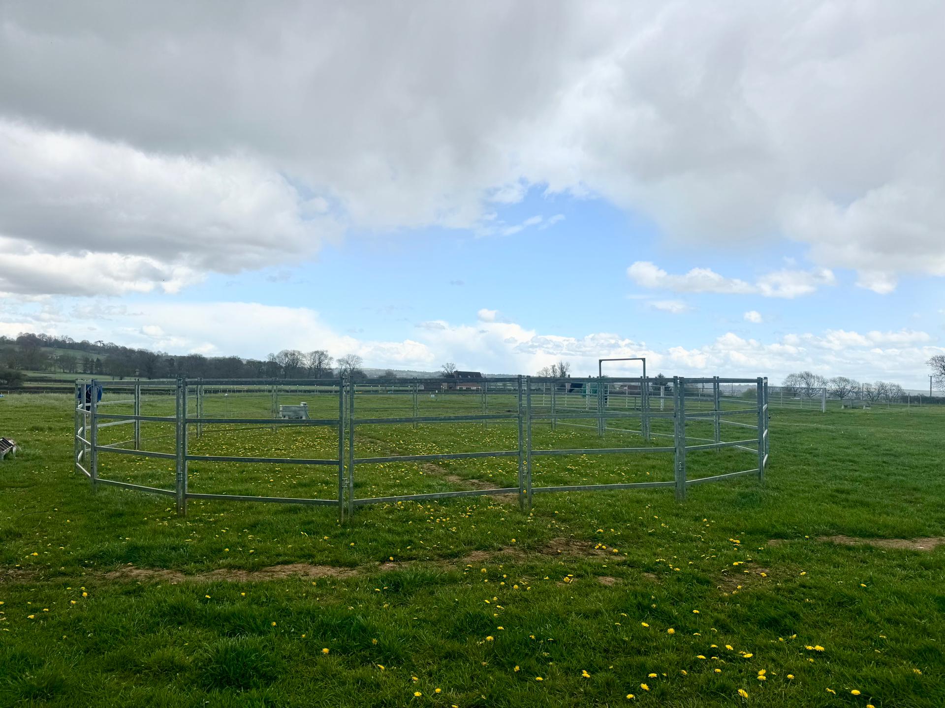 Thornham Farm Livery photo 2