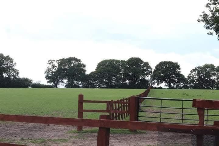 Fillongley livery yard photo 3
