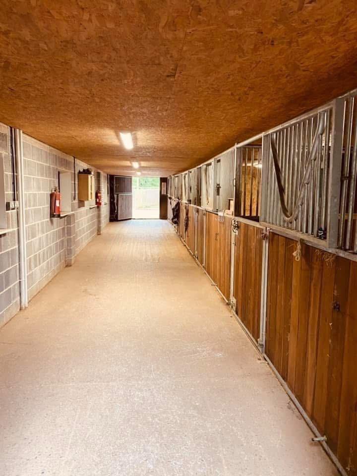 MLD Equestrian