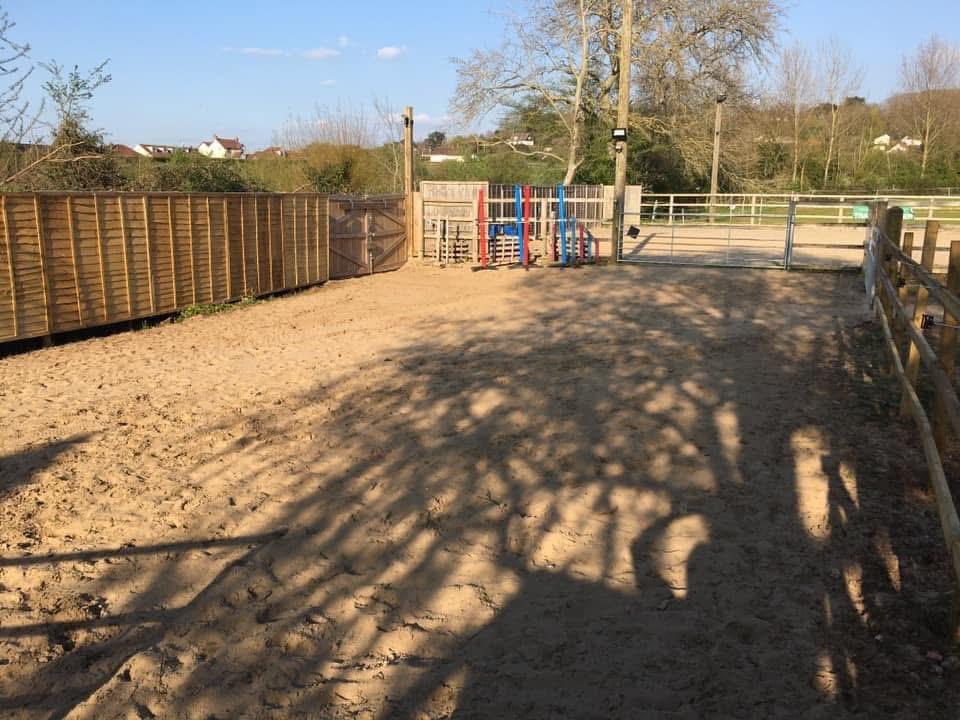 MLD Equestrian photo 4
